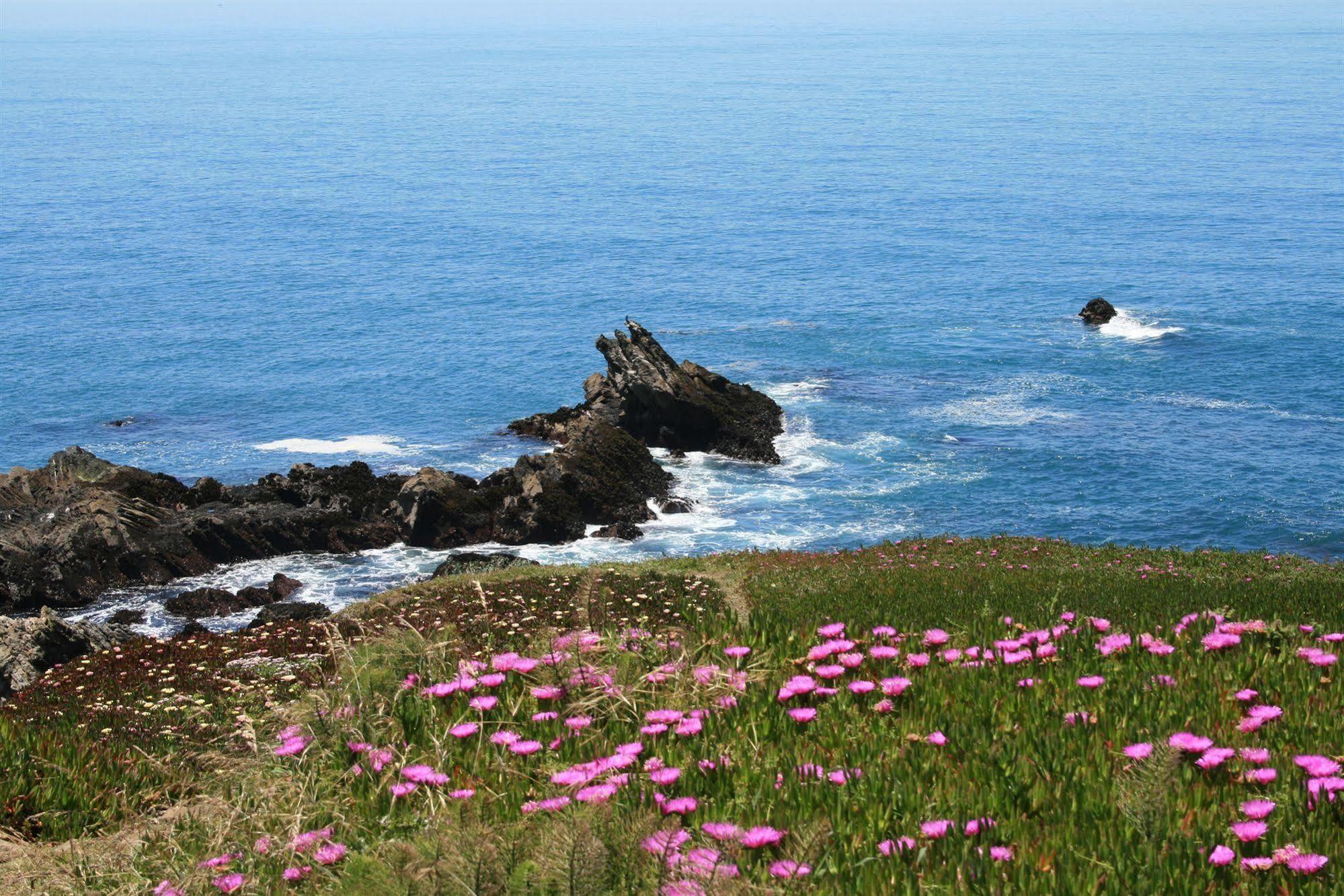 Fort Ross Lodge 詹纳 外观 照片